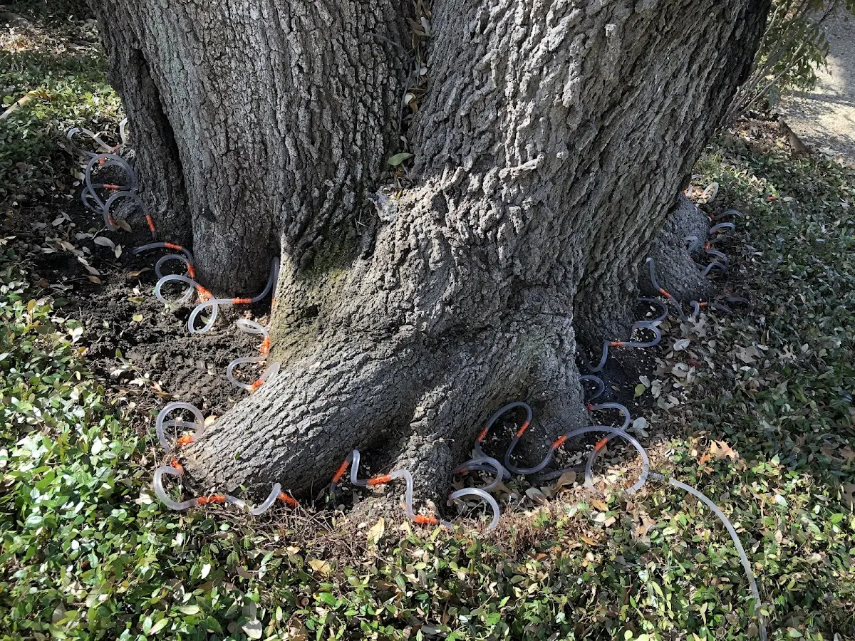 Detailed Shrub and Hedge Trimming job site in Perry