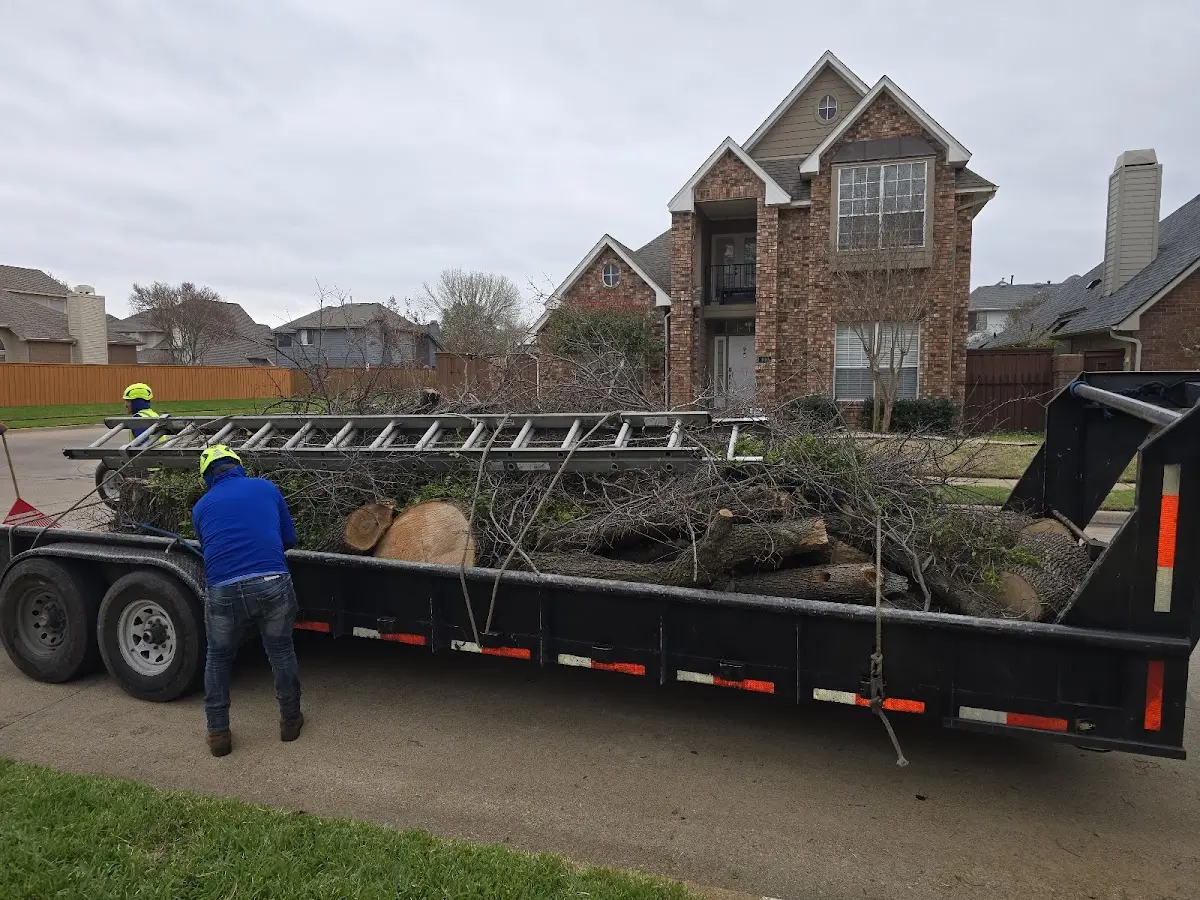 Expert Tree Fertilization with proper safety equipment in Perry